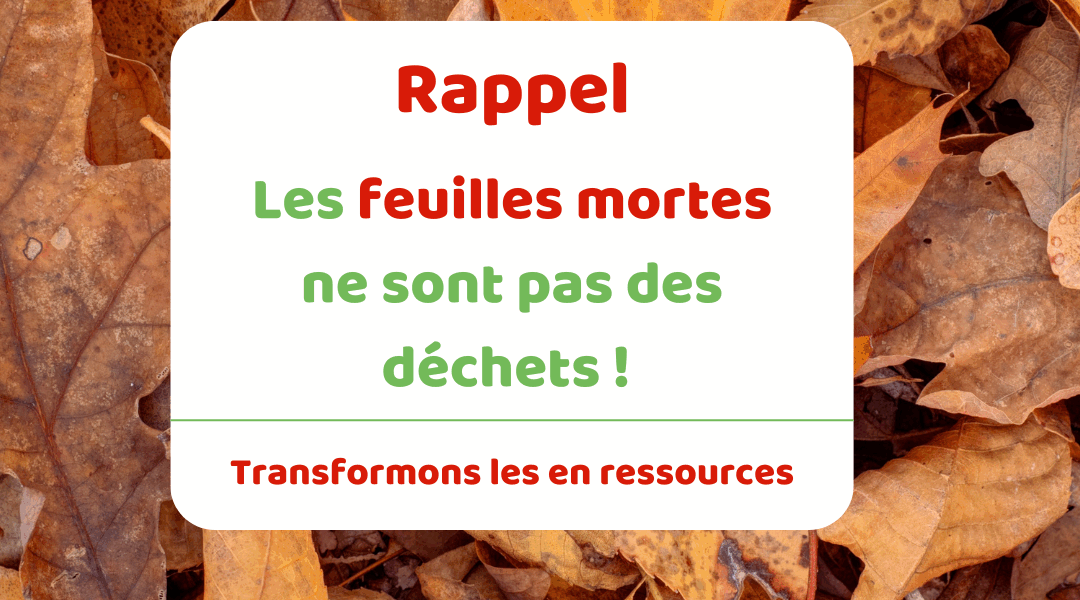 Cet automne, ne jetez plus vos déchets verts, valorisez-les !