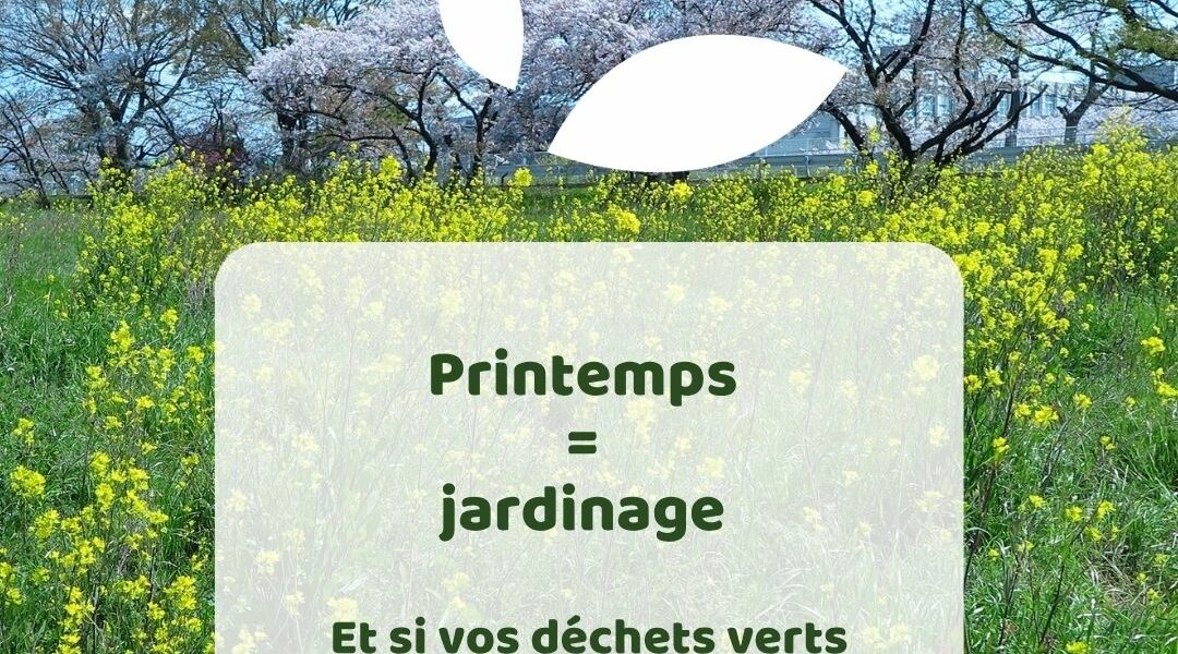 Déchets verts et compostage : les bons réflexes au printemps